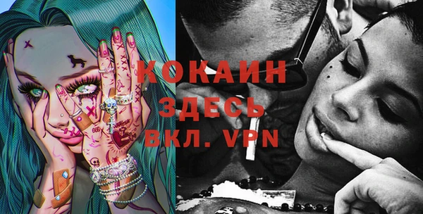 крисы Армянск