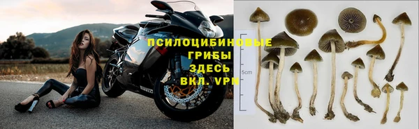 крисы Армянск
