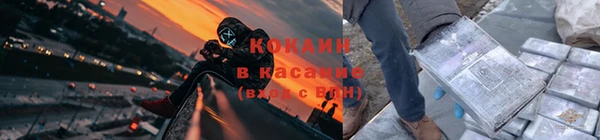 крисы Армянск