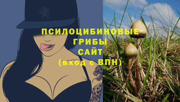 крисы Армянск