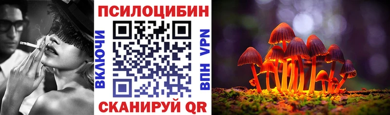 ссылка на мегу tor  Коряжма  Псилоцибиновые грибы Magic Shrooms 